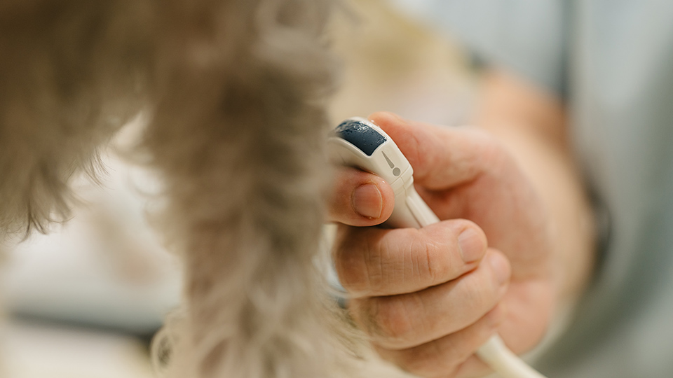 土日の診療にも対応可能
忙しいご家庭でも安心